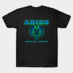 Aries 7b Black T-Shirt